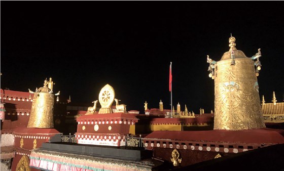 拉薩大昭寺夜景